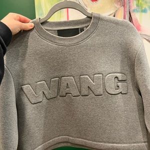 Alexander h&m sweater